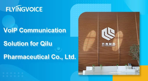 Large Pharmaceutical  Company - Qilu Pharmaceutical Co., Ltd.